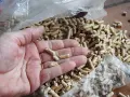 Main d'une personne tenant des granulés de bois clairs, avec un sac de granulés en arrière-plan.