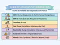Guide des diagnostics immobiliers : combien de temps dure un diagnostic énergétique (DPE) ? 10 ans. D'autres diagnostics ont des durées plus courtes.