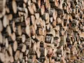 Un mur de bois de hêtre coupé, prêt pour le chauffage d'hiver. Les bûches sont empilées en rangées serrées, révélant leurs cernes et leur écorce rugueuse.