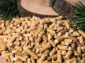 Gros tas de granulés de bois, parfaits pour la consommation pellet maison 80m2. Des branches de pin et des rondins de bois en arrière-plan.