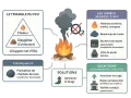 Le feu manque d'air : flammes sombres, fumée, bûches noircissent sans brûler. Le bois qui ne brûle pas est un signe de combustion incomplète. Solutions : améliorer le tirage.