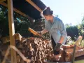 Femme avec des bûches de bois sous un abri.