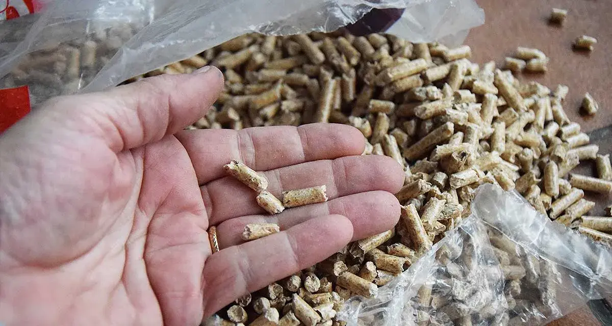 Main d'une personne tenant des granulés de bois clairs, avec un sac de granulés en arrière-plan.