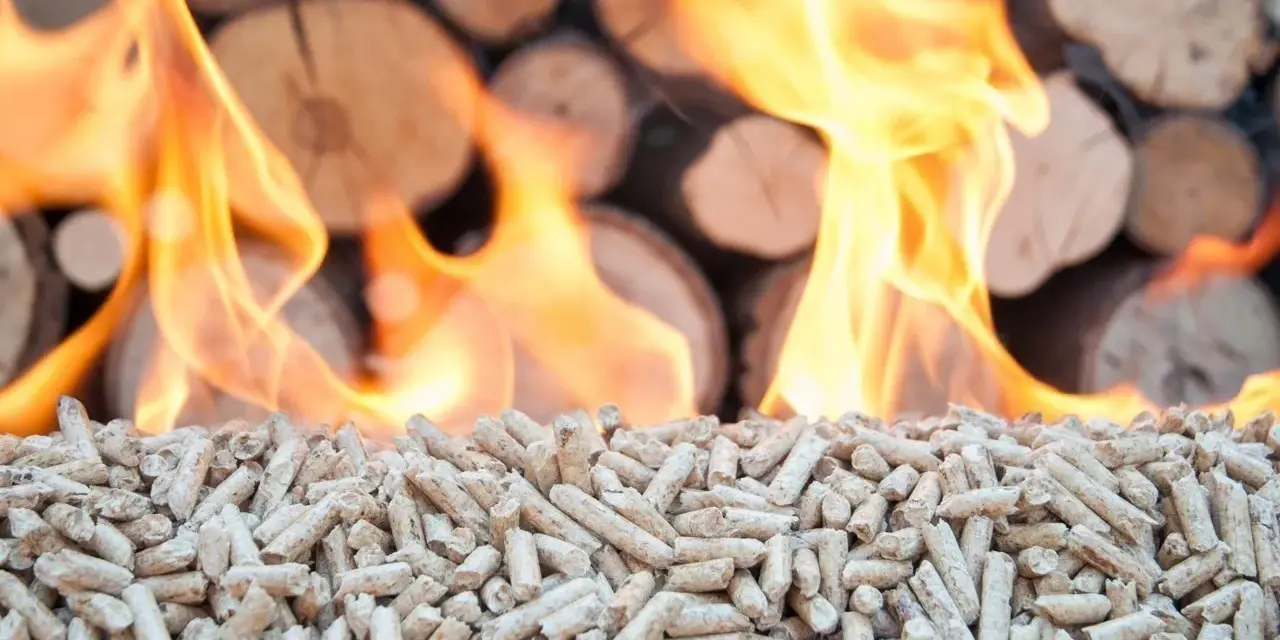 Flammes au-dessus de granulés de bois et de bûches empilées.