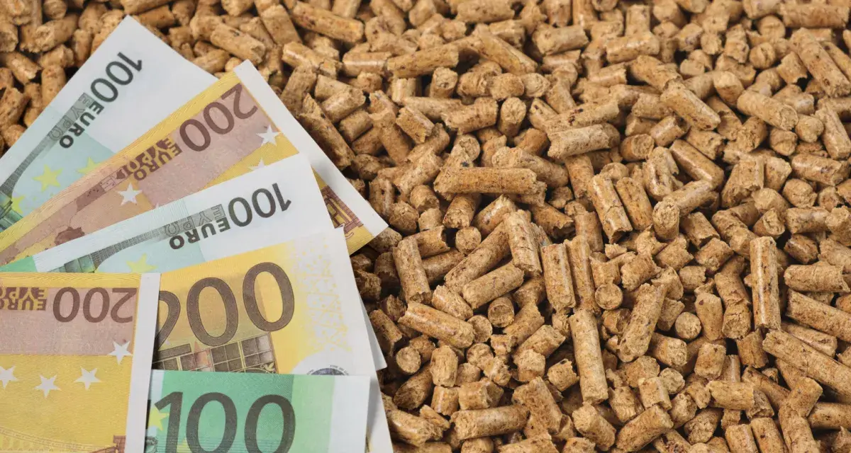 Des billets en euros sur un tas de granulés de bois, illustrant l'évolution du prix des granulés de bois.