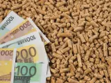 Des billets en euros sur un tas de granulés de bois, illustrant l'évolution du prix des granulés de bois.