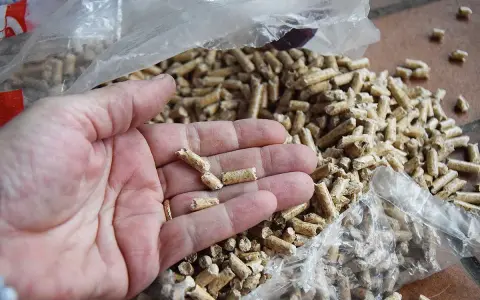 Main d'une personne tenant des granulés de bois clairs, avec un sac de granulés en arrière-plan.