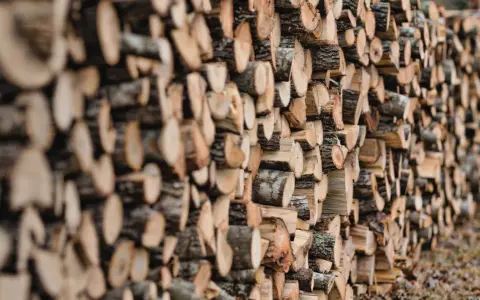 Un mur de bois de hêtre coupé, prêt pour le chauffage d'hiver. Les bûches sont empilées en rangées serrées, révélant leurs cernes et leur écorce rugueuse.