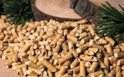 Gros tas de granulés de bois, parfaits pour la consommation pellet maison 80m2. Des branches de pin et des rondins de bois en arrière-plan.