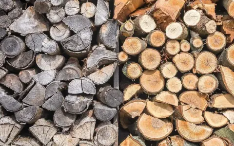Gros tas de bois de chauffage trop vieux, certains grisâtres et usés, d'autres plus frais et orangés, empilés pour l'hiver.