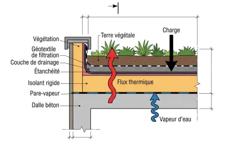 Schéma d'une toiture végétalisée montrant les couches d'isolation et les flux thermiques.