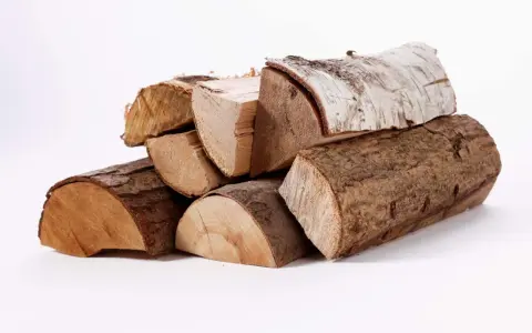 Un tas de bois g1, certains avec écorce, d'autres coupés, prêts pour un feu de cheminée.