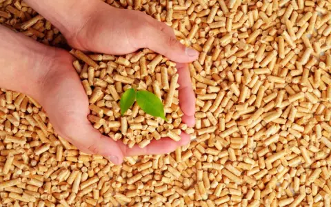 Mains tenant des granulés 100% résineux ou naturels, avec une jeune pousse verte symbolisant la croissance et la durabilité.