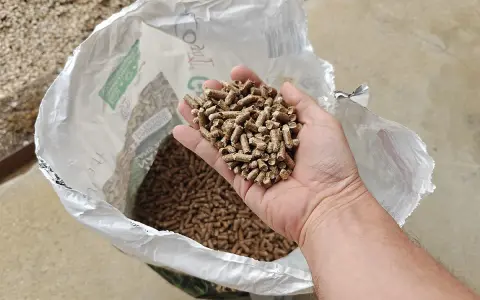 Main d'homme tenant des granulés de bois, pour estimer la consommation pellet par jour. Sac ouvert en arrière-plan.