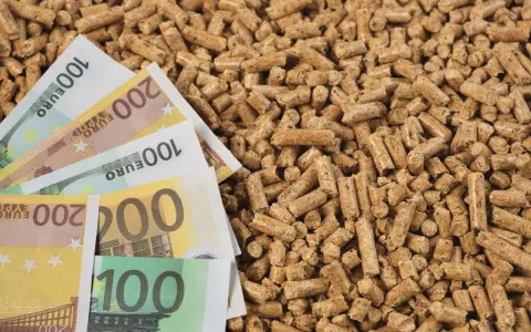 Des billets en euros sur un tas de granulés de bois, illustrant l'évolution du prix des granulés de bois.