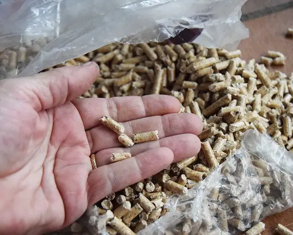 Main d'une personne tenant des granulés de bois clairs, avec un sac de granulés en arrière-plan.