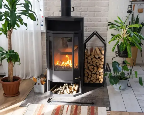 Poêle à bois allumé, entouré de plantes et de bois de chauffage. Une interdiction poêle à bois pourrait être envisagée pour des raisons de sécurité ou de pollution.
