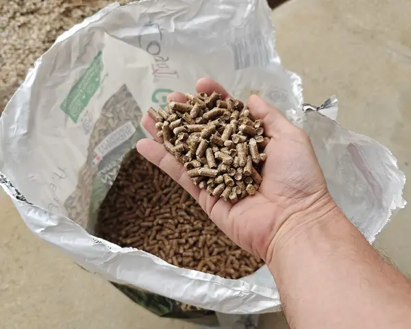 Main d'homme tenant des granulés de bois, pour estimer la consommation pellet par jour. Sac ouvert en arrière-plan.