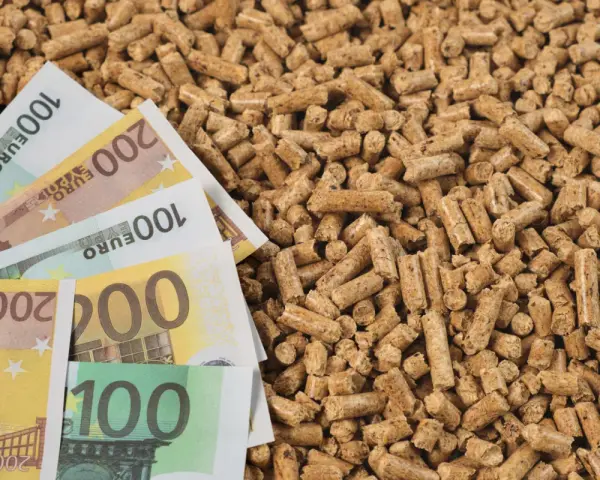 Des billets en euros sur un tas de granulés de bois, illustrant l'évolution du prix des granulés de bois.
