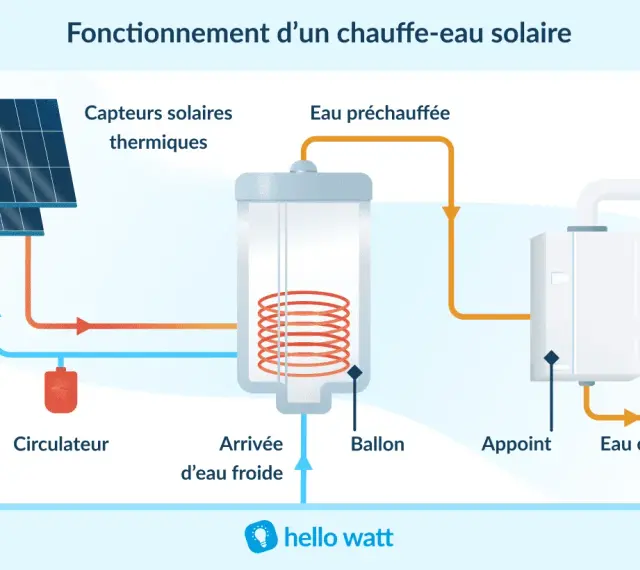 Schéma du fonctionnement d'un chauffe-eau solaire : capteurs thermiques, circulateur, ballon, appoint et eau chaude.