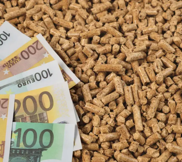 Des billets en euros sur un tas de granulés de bois, illustrant l'évolution du prix des granulés de bois.