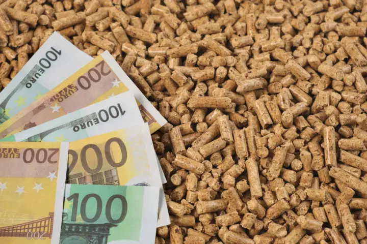 Des billets en euros sur un tas de granulés de bois, illustrant l'évolution du prix des granulés de bois.