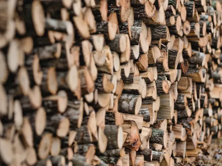 Un mur de bois de hêtre coupé, prêt pour le chauffage d'hiver. Les bûches sont empilées en rangées serrées, révélant leurs cernes et leur écorce rugueuse.