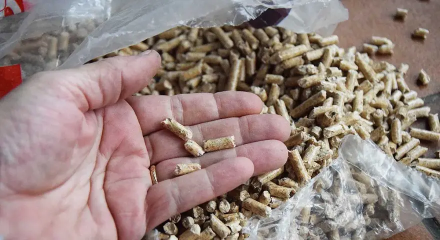 Main d'une personne tenant des granulés de bois clairs, avec un sac de granulés en arrière-plan.