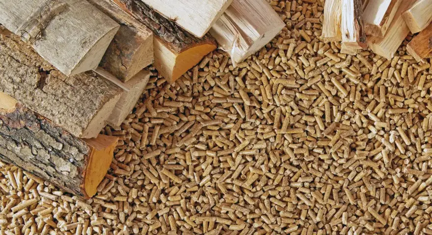Gros tas de bois déchiqueté, idéal pour le chauffage. Le prix du bois déchiqueté est une préoccupation pour les consommateurs.