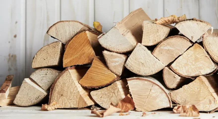 Un tas de bois de chauffage, prêt pour l'hiver. Le charme rustique du bois sec promet des soirées douillettes.