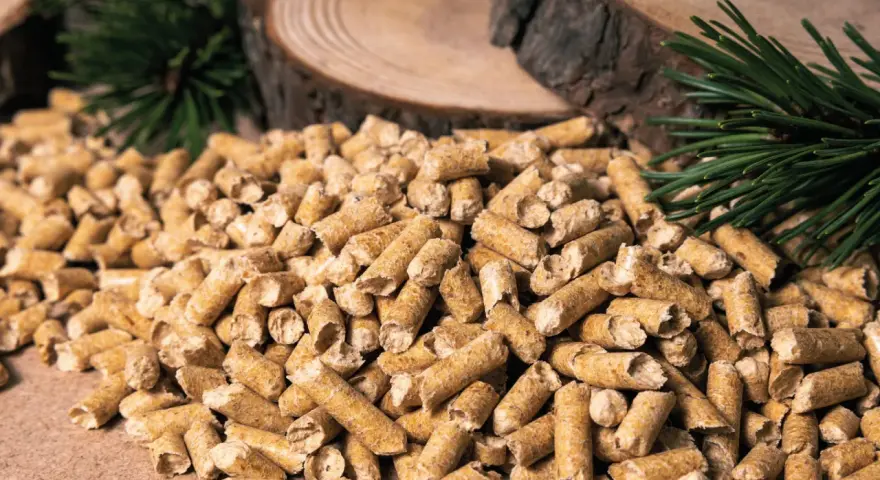 Gros tas de granulés de bois, parfaits pour la consommation pellet maison 80m2. Des branches de pin et des rondins de bois en arrière-plan.