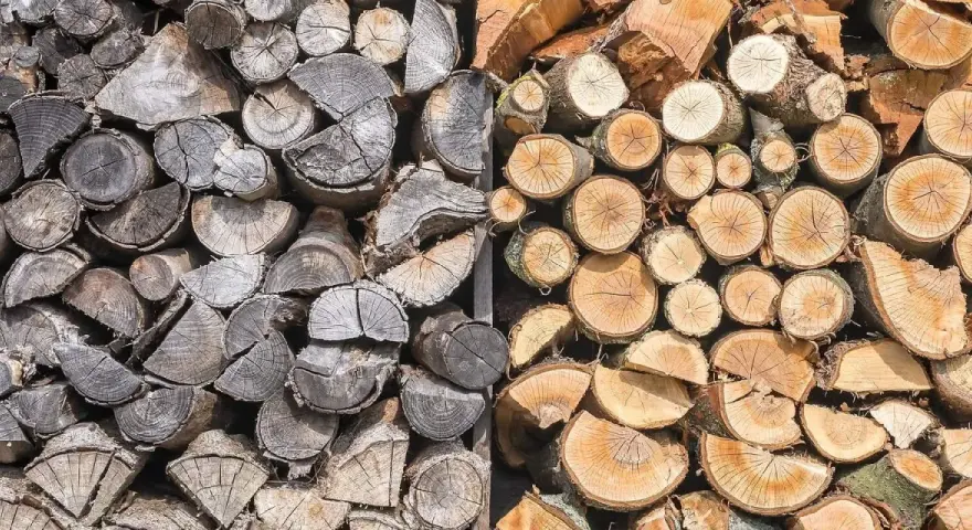 Gros tas de bois de chauffage trop vieux, certains grisâtres et usés, d'autres plus frais et orangés, empilés pour l'hiver.