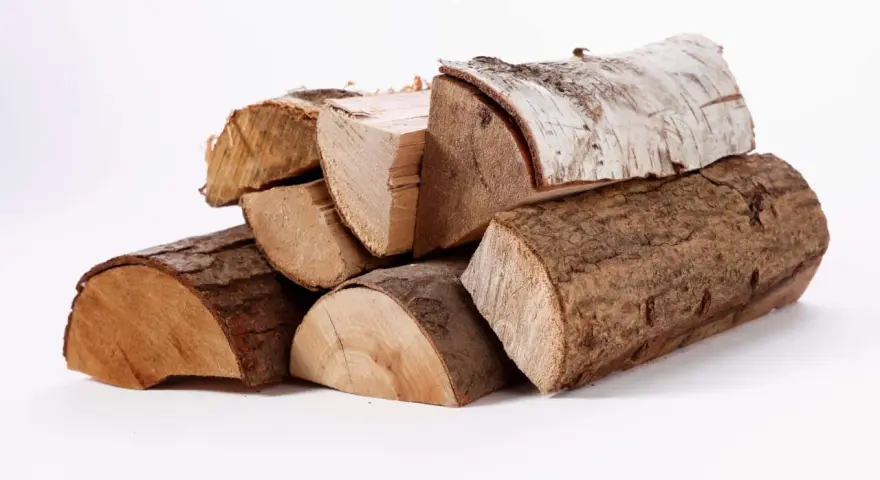Un tas de bois g1, certains avec écorce, d'autres coupés, prêts pour un feu de cheminée.