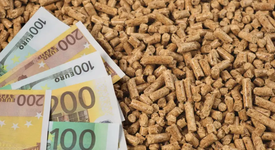 Des billets en euros sur un tas de granulés de bois, illustrant l'évolution du prix des granulés de bois.