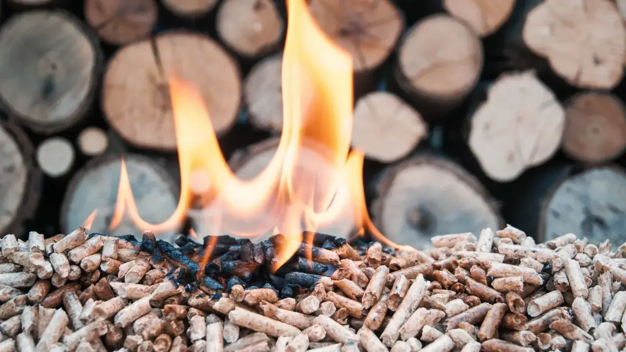 Flammes dansant sur un tas de pellet 100% résineux ou naturel, avec des bûches en arrière-plan. Chaleur et énergie renouvelable.