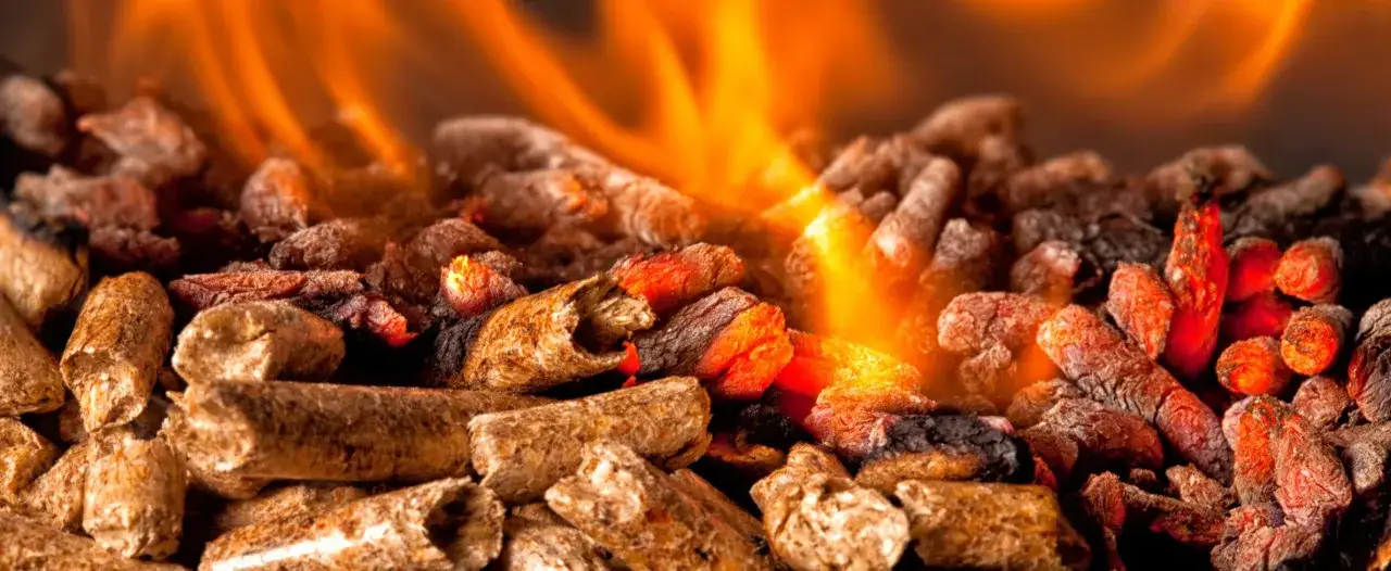 Flammes orangées dans un poêle à granulés, illuminant la couleur cendre des combustibles.