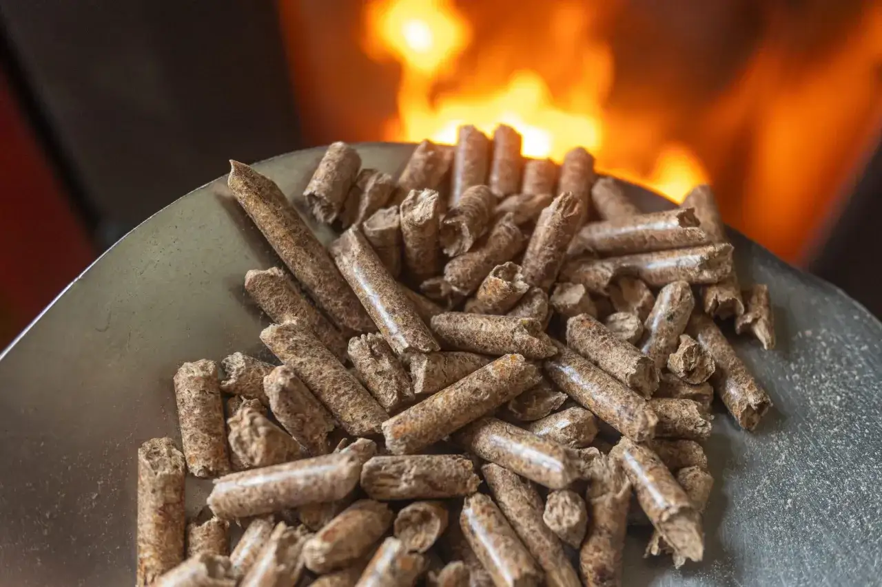 Une pelle remplie de granulés de bois, prêts à alimenter le feu. Les granulés ne tombent plus, ils attendent leur destin calorifique.