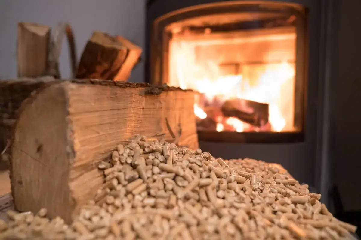 Comparatif bois de chauffage : bûches et granulés devant un poêle ardent.