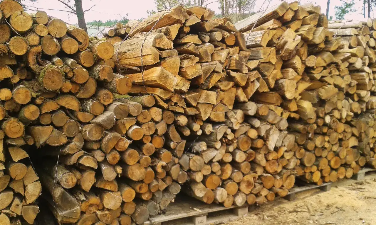Un tas de robinier bois de chauffage, empilé sur des palettes, prêt pour l'hiver.