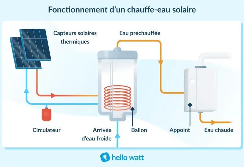 Schéma du fonctionnement d'un chauffe-eau solaire : capteurs thermiques, circulateur, ballon, appoint et eau chaude.